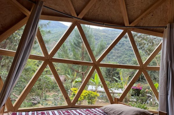 jungle-domes